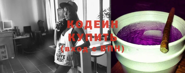прущий лед Бородино