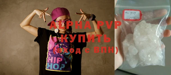 прущий лед Бородино