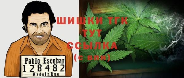 прущий лед Бородино