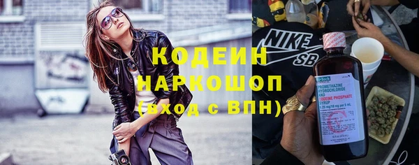 прущий лед Бородино
